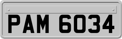 PAM6034