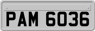 PAM6036