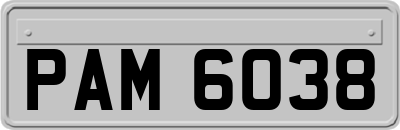 PAM6038
