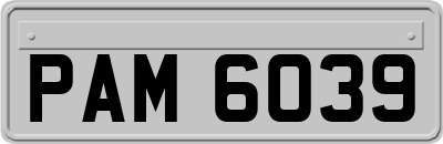 PAM6039