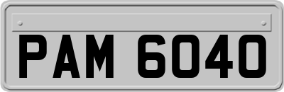 PAM6040