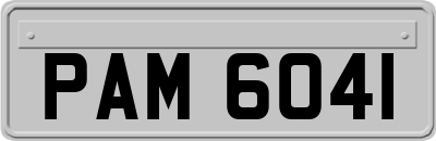 PAM6041