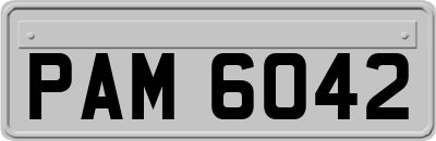 PAM6042