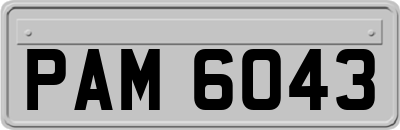 PAM6043