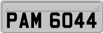 PAM6044