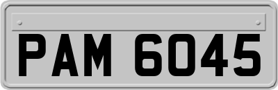 PAM6045