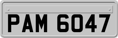 PAM6047