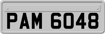 PAM6048
