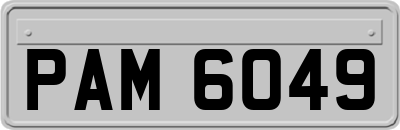 PAM6049