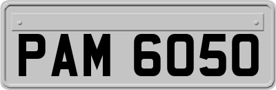 PAM6050