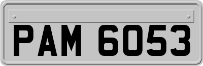 PAM6053