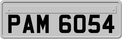 PAM6054