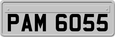 PAM6055