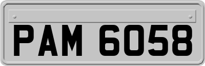 PAM6058