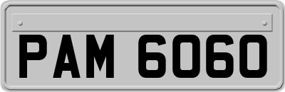 PAM6060