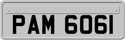 PAM6061