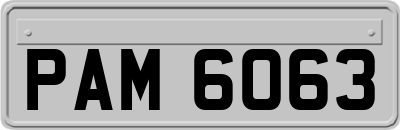 PAM6063