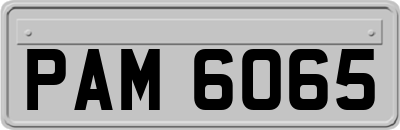 PAM6065