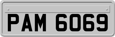 PAM6069