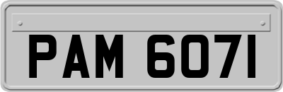 PAM6071