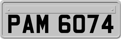 PAM6074