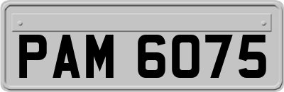 PAM6075
