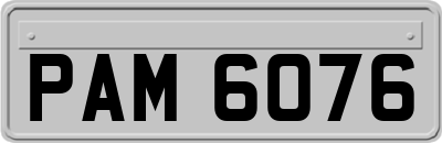 PAM6076
