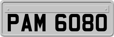 PAM6080
