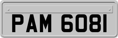 PAM6081