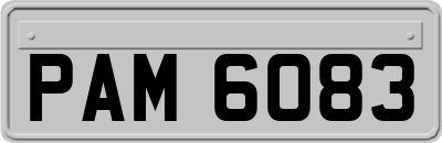 PAM6083