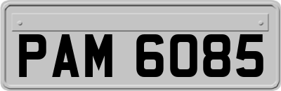 PAM6085