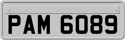 PAM6089