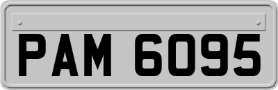 PAM6095