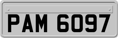 PAM6097