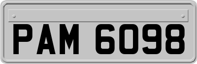 PAM6098