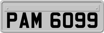 PAM6099