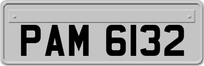 PAM6132