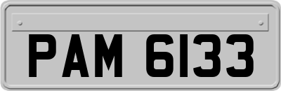 PAM6133
