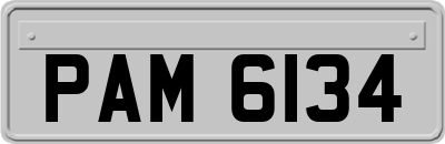 PAM6134