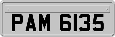 PAM6135