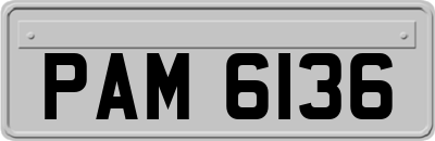 PAM6136