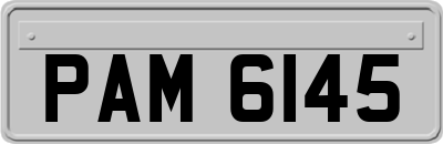 PAM6145