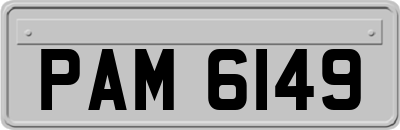 PAM6149