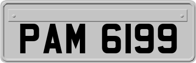 PAM6199