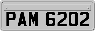 PAM6202