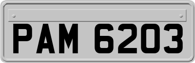 PAM6203