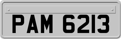 PAM6213