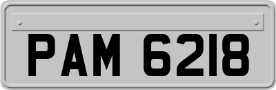 PAM6218