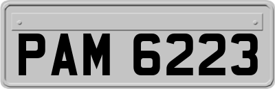 PAM6223