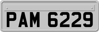 PAM6229